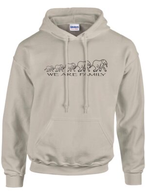 c81cac26-446f-4a96-bdc4-5c5446579bd3