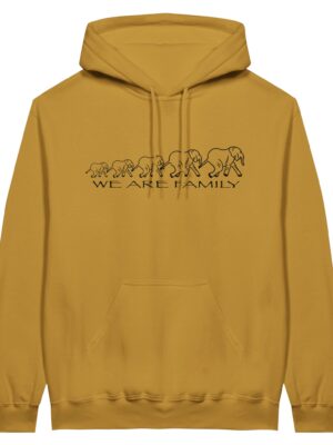 d0d9505c-b866-43ed-b013-7e5671efcd3b